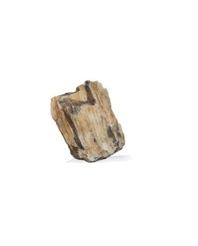 Aquavie bois fossilisé - aquavie,