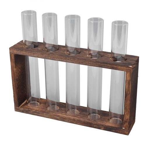 Terrarium transparent 5 - terrarium,