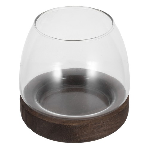 Terrarium pour plantes avec - ,