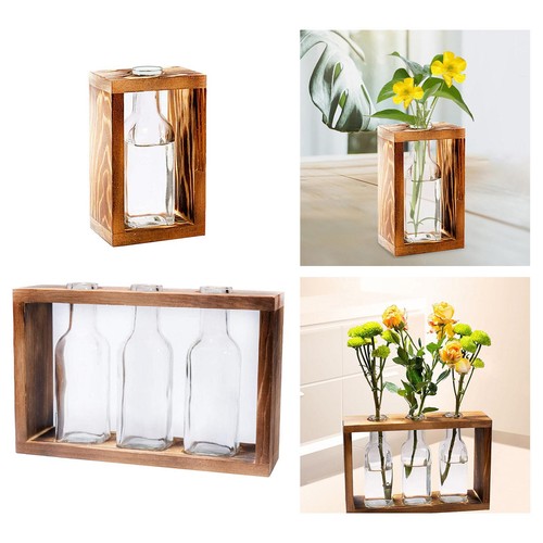 Terrarium stand vases - terrarium,