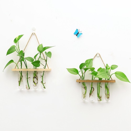 Verre suspendus planteur - verre,