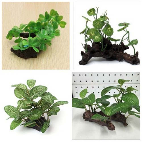 Terrarium artificiel eau - terrarium,