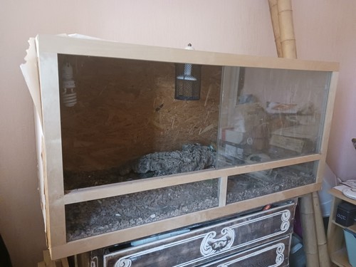 Terrarium vivarium en bois - -,