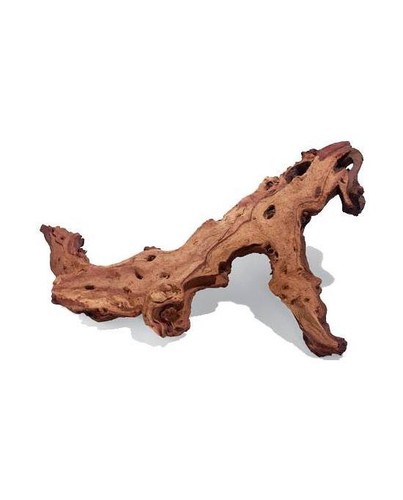 Racine mopani aquavie 40cm - racine,