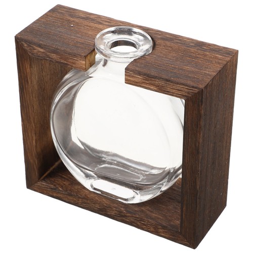 Terrarium pour plantes avec
