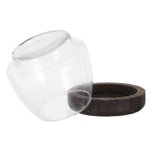 Terrarium hydroponique - , en