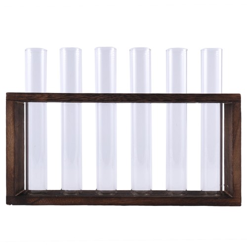 Terrarium pour plantes - plantes, avec