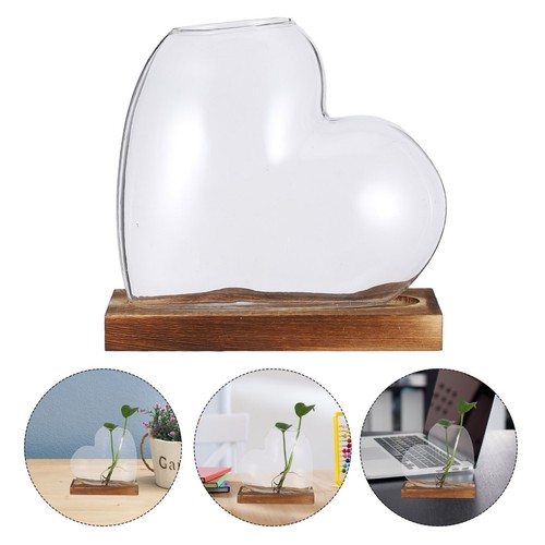 Terrarium avec base bois - base,