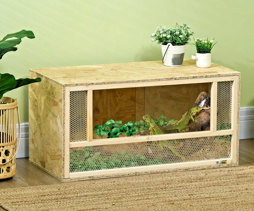 Terrarium serpents reptiles - serpents,
