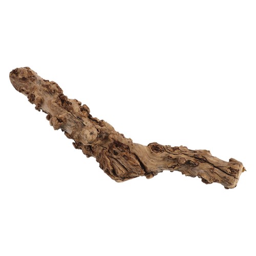 Bois grimpant pour reptiles - grimpant, de