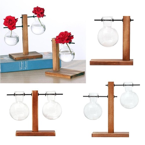 Terrarium végétal avec - végétal,