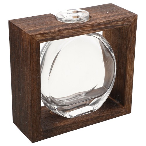 Terrarium pour plantes avec