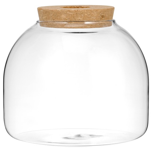 Terrarium végétal bocaux - terrarium,