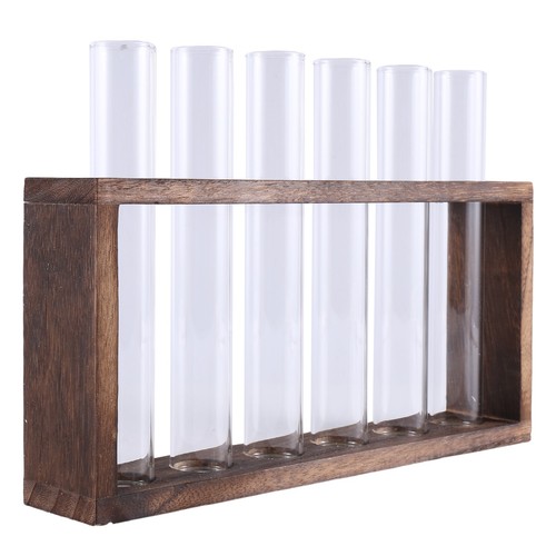 Terrarium pour plantes avec - plantes,